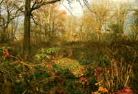 Hibernaculum album art